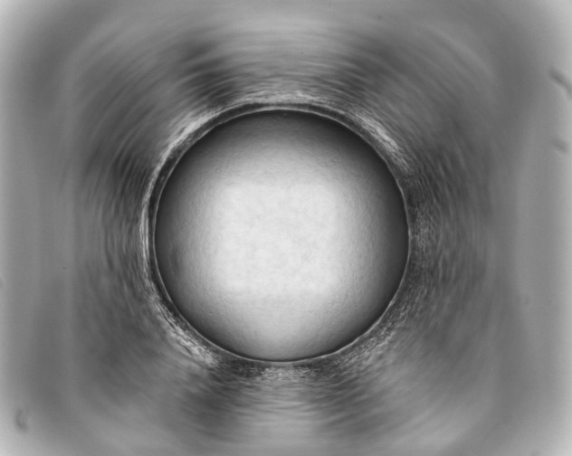 X0000093380840200710251215