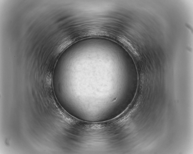 X0000093380841200710251215