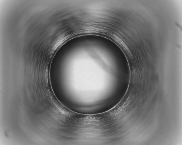 X0000093380842200710251215