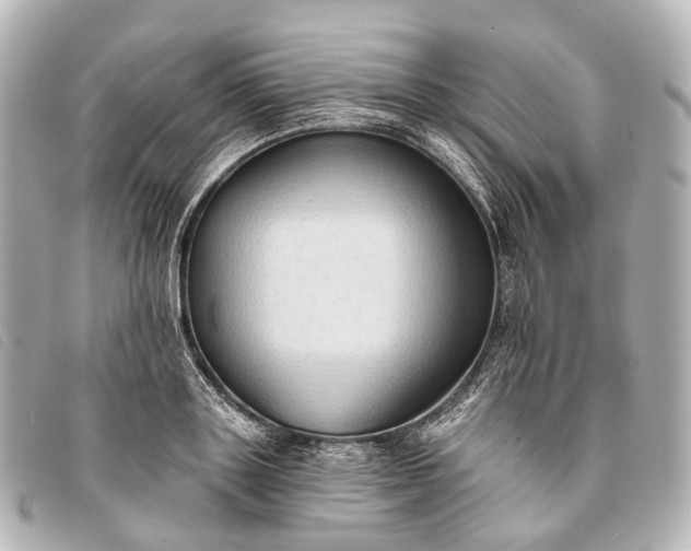 X0000093380843200710251215