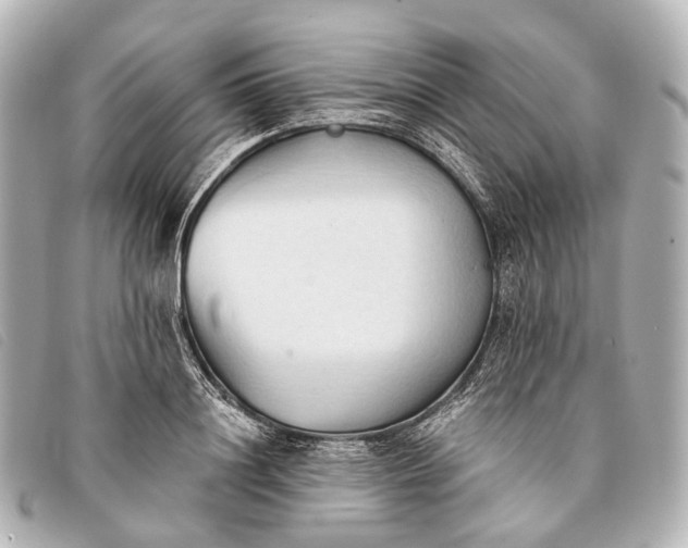 X0000093380844200710251215