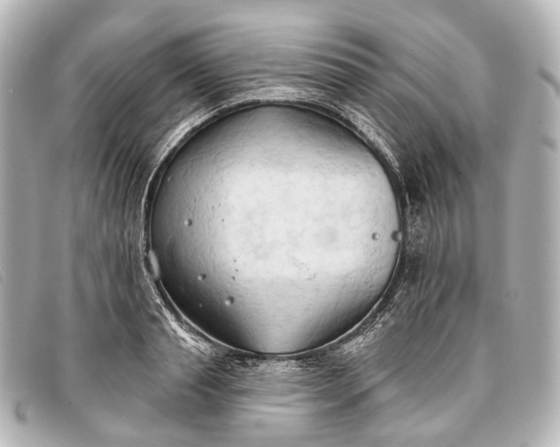 X0000093380845200710251215