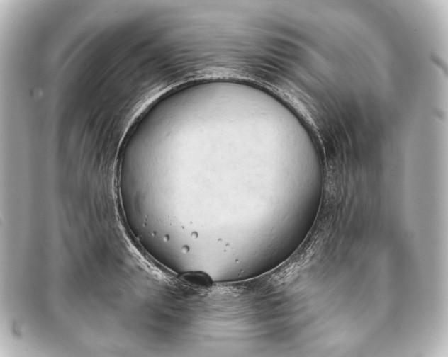 X0000093380847200710251215