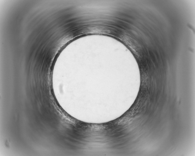 X0000093380848200710251215