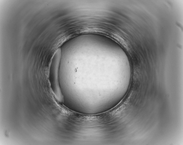 X0000093380849200710251215