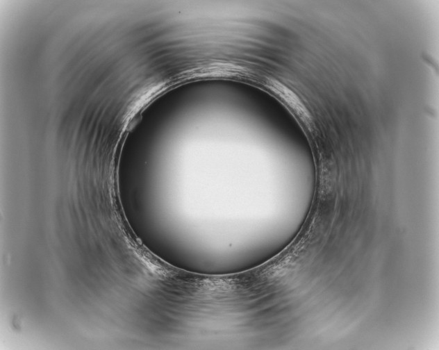 X0000093380850200710251215