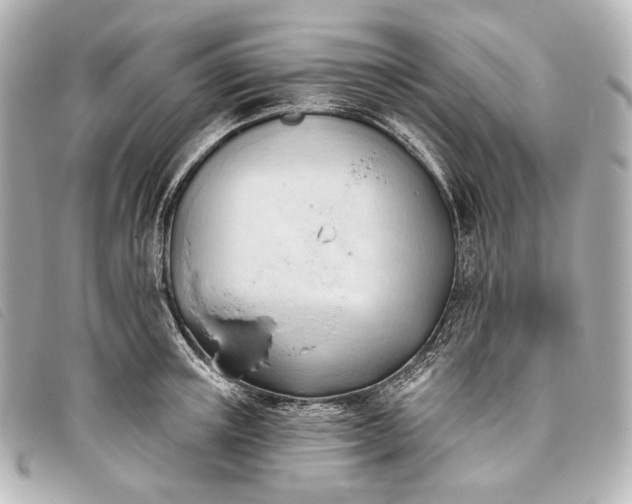 X0000093380851200710251215