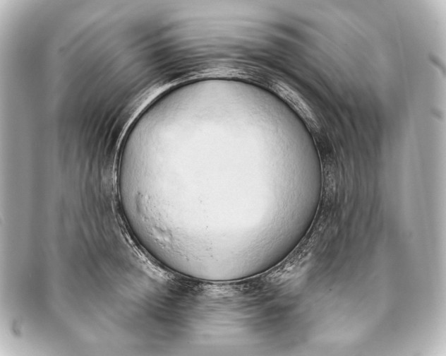 X0000093380852200710251215