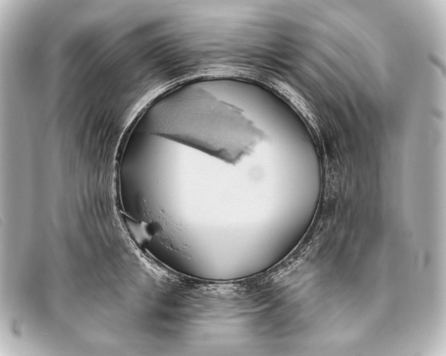 X0000093380853200710251215