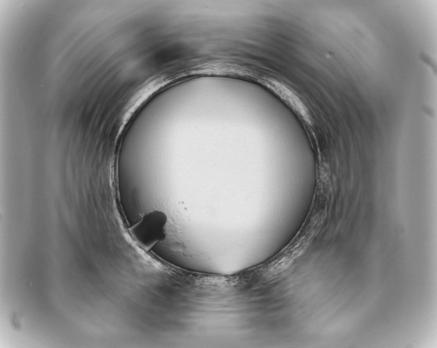 X0000093380855200710251215