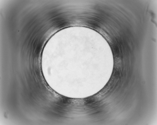 X0000093380856200710251215