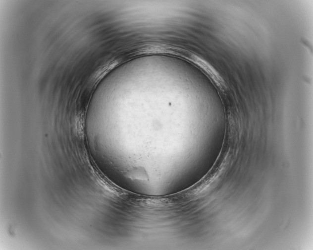 X0000093380857200710251215