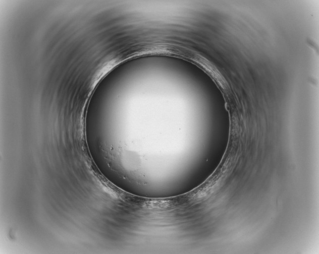 X0000093380858200710251215