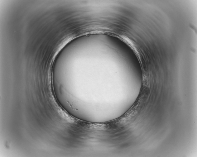 X0000093380859200710251215