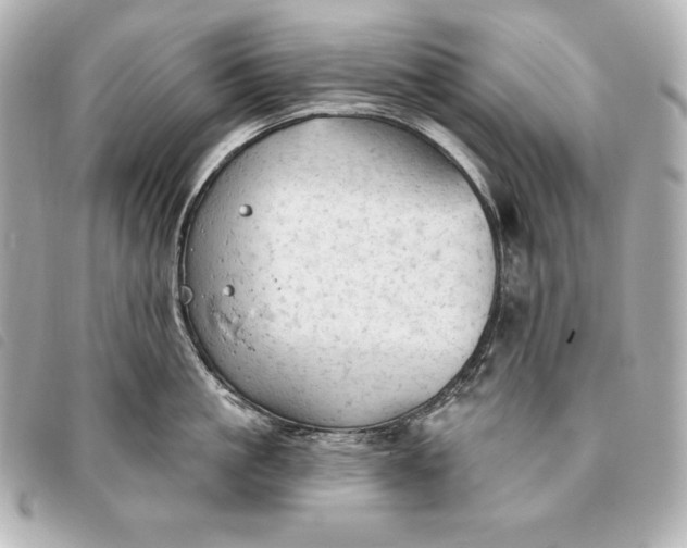 X0000093380861200710251215