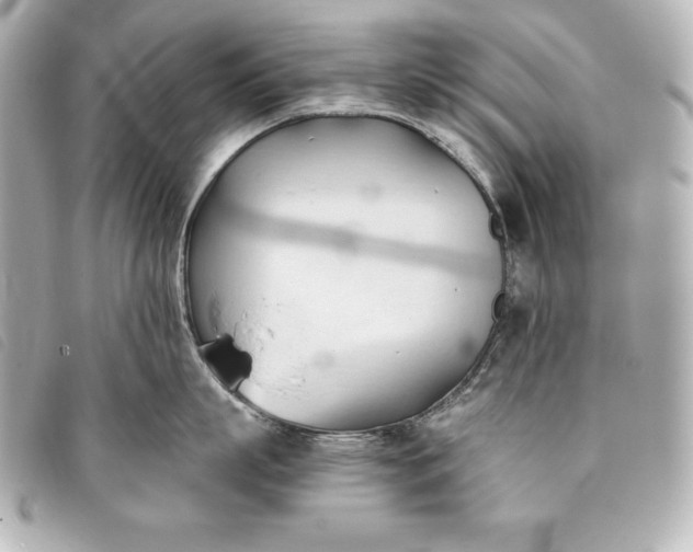 X0000093380863200710251215