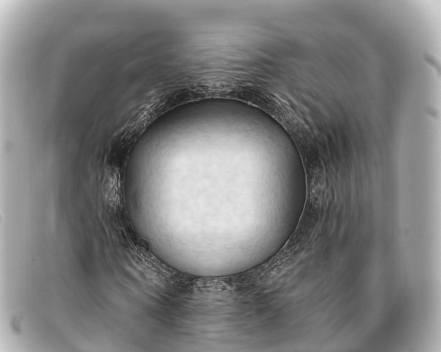 X0000093380866200710251214