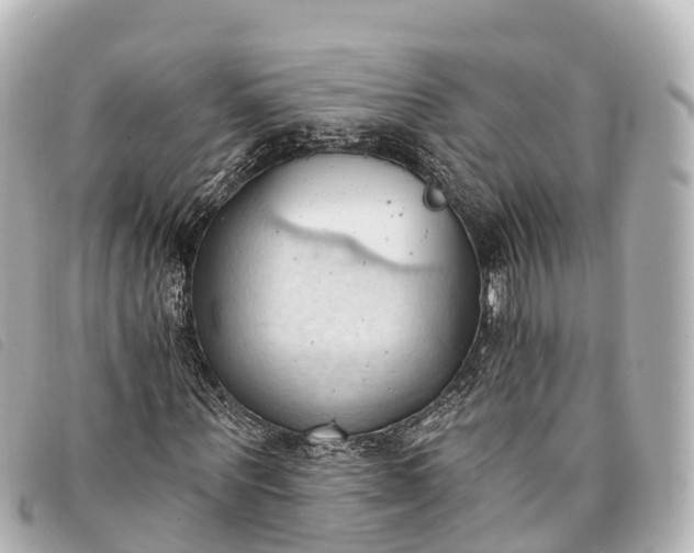 X0000093380867200710251214