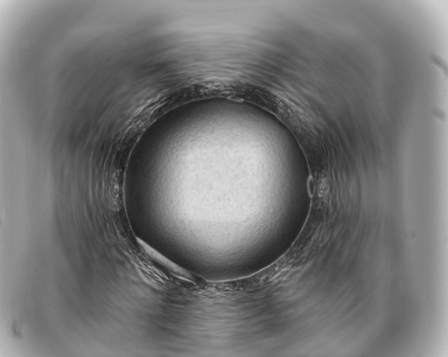 X0000093380868200710251214