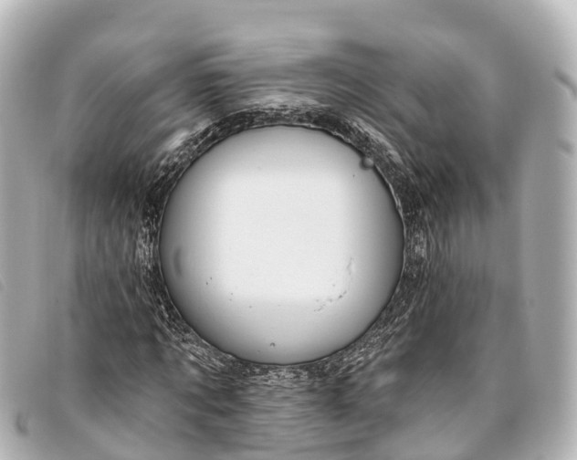 X0000093380869200710251214