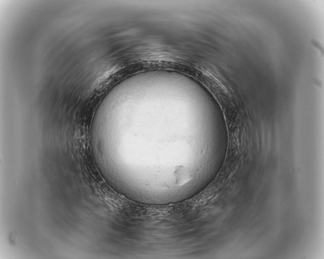 X0000093380870200710251214