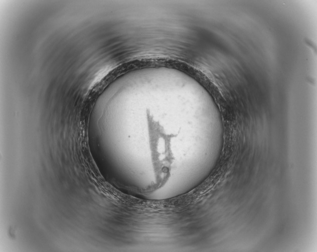 X0000093380871200710251214