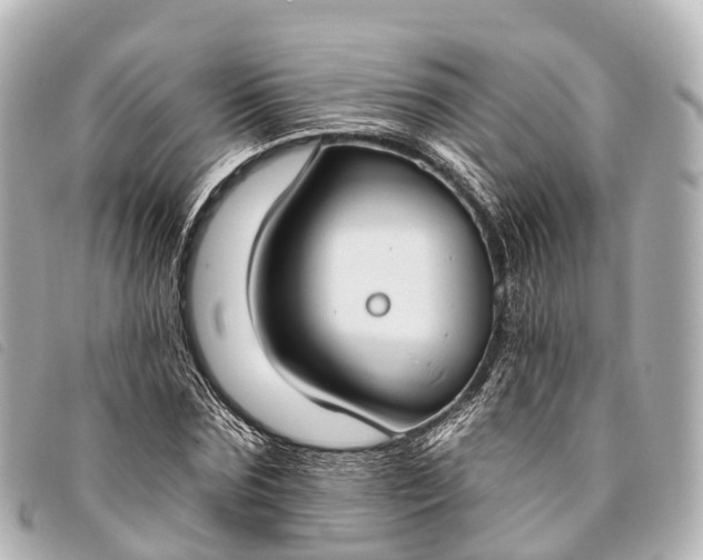 X0000093380875200710251214