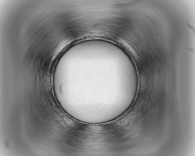 X0000093380878200710251214