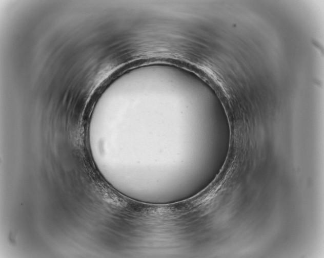 X0000093380879200710251214