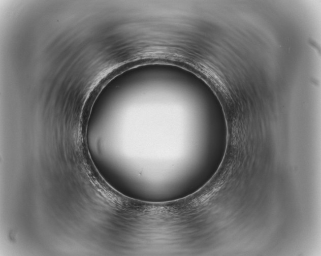 X0000093380880200710251214