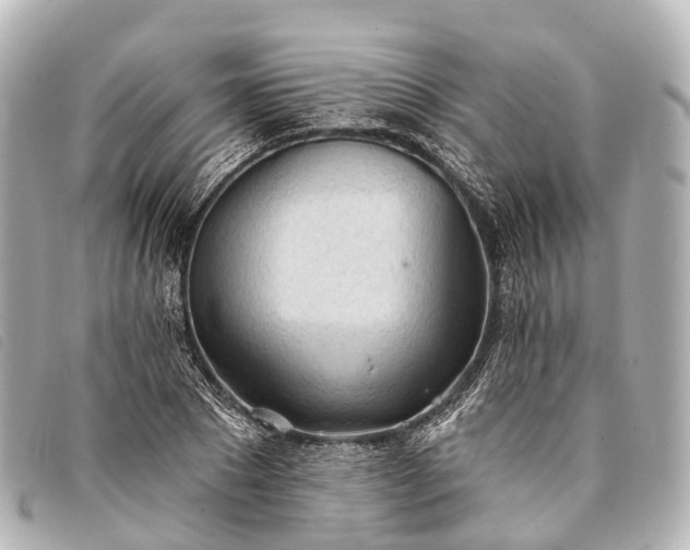 X0000093380881200710251214