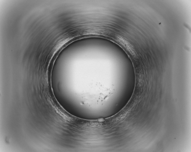 X0000093380884200710251214