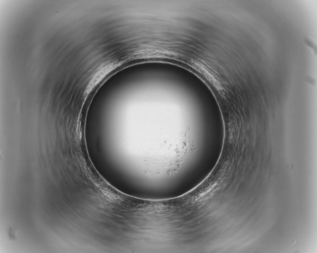 X0000093380885200710251214