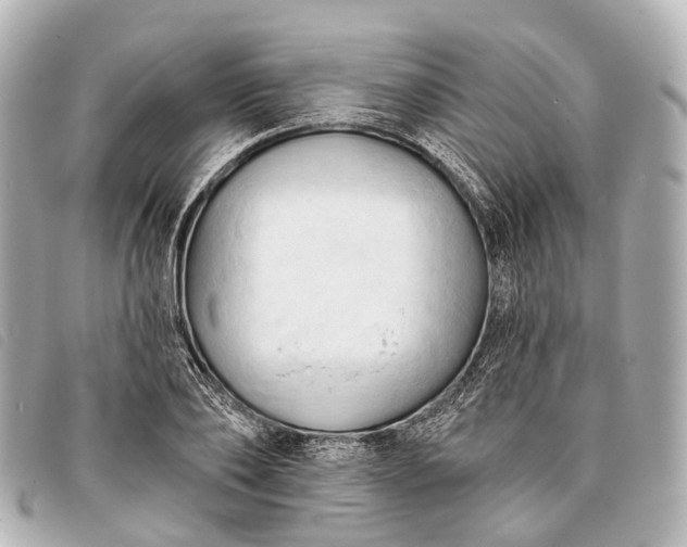 X0000093380886200710251214