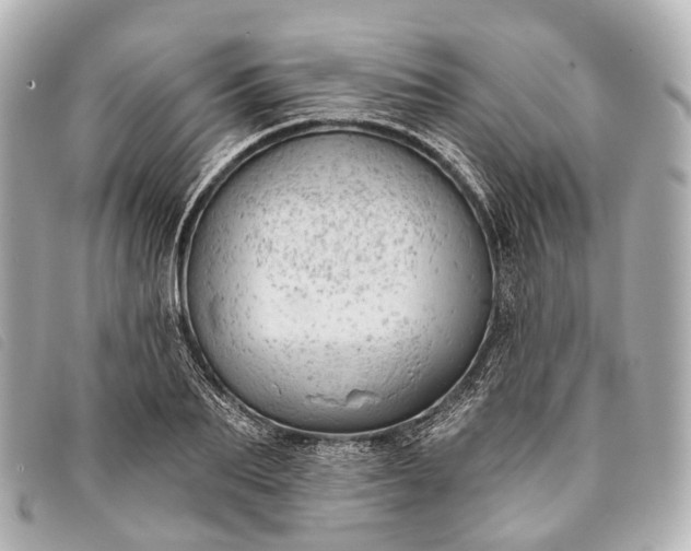 X0000093380887200710251214