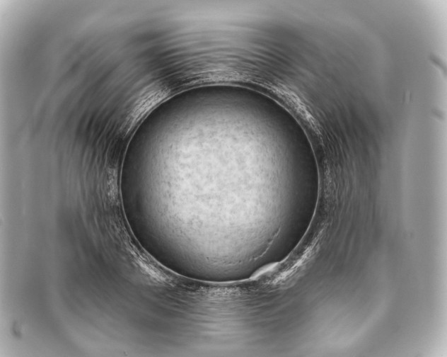 X0000093380889200710251214