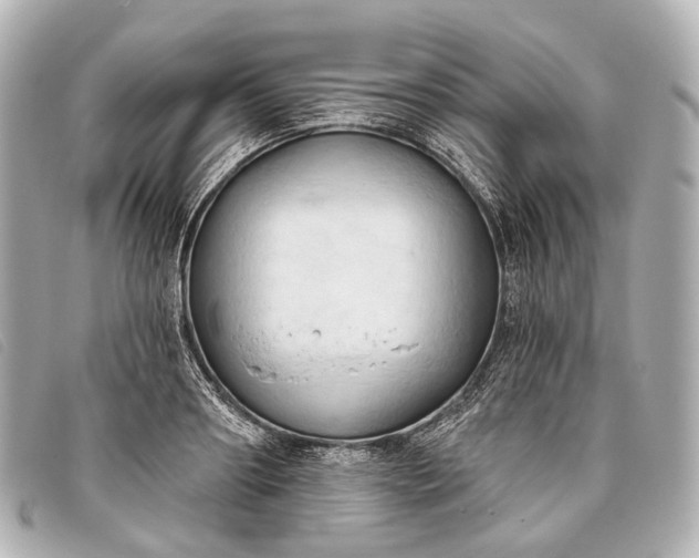 X0000093380890200710251214