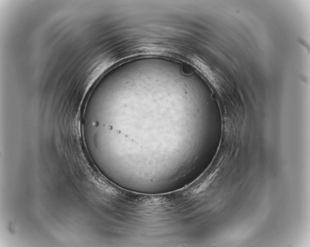 X0000093380891200710251214