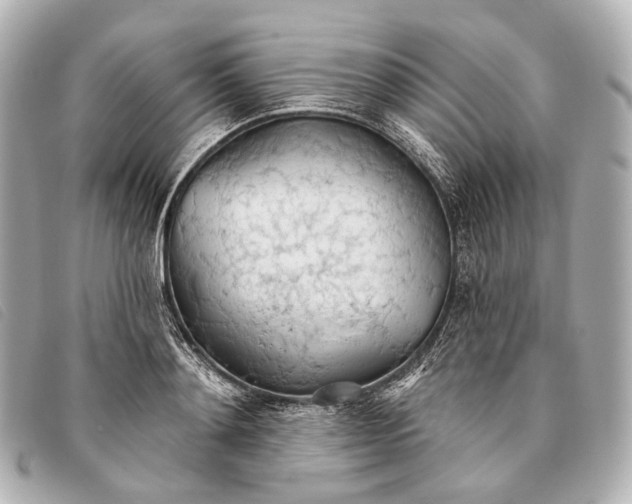 X0000093380892200710251214