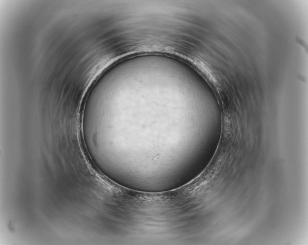 X0000093380895200710251214