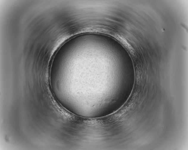 X0000093380896200710251214