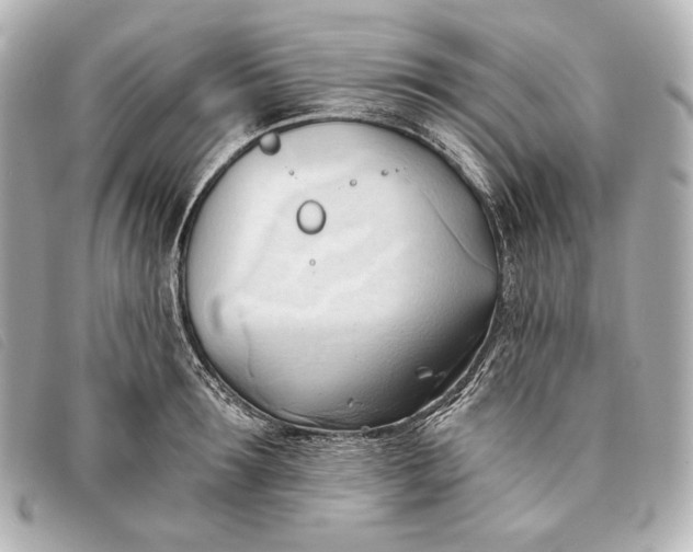 X0000093380899200710251214