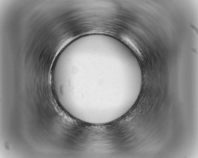 X0000093380900200710251214