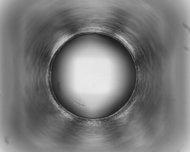 X0000093380901200710251214