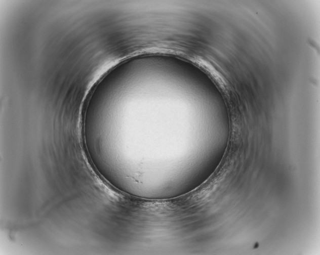 X0000093380902200710251214