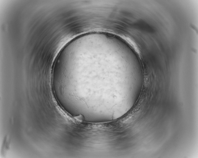 X0000093380903200710251214