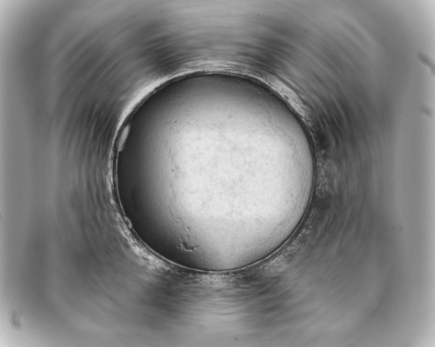 X0000093380904200710251214