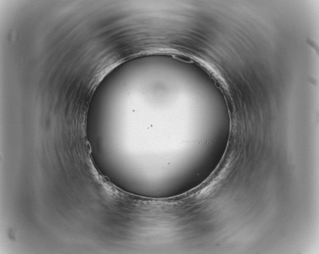 X0000093380905200710251214