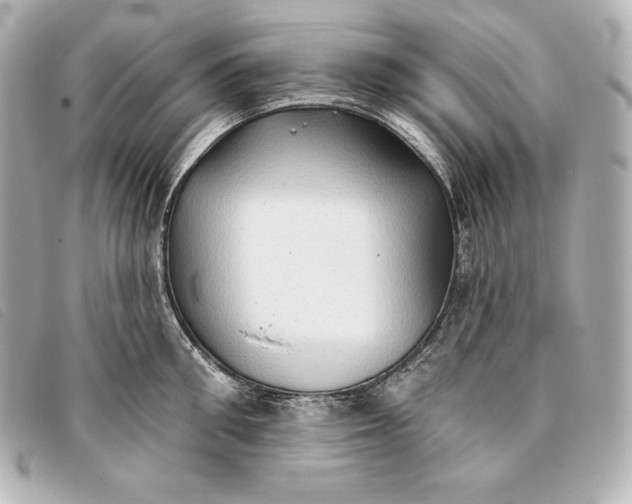 X0000093380906200710251214