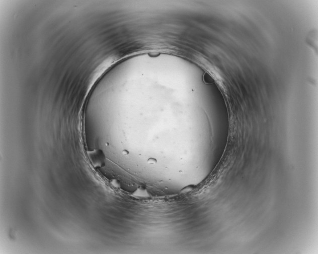 X0000093380907200710251214